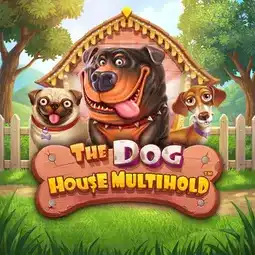 The Dog House Multihold game at RocketPlay Casino for Australian players